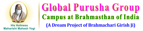 Global Purusha Group